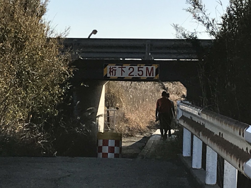 S__1859594