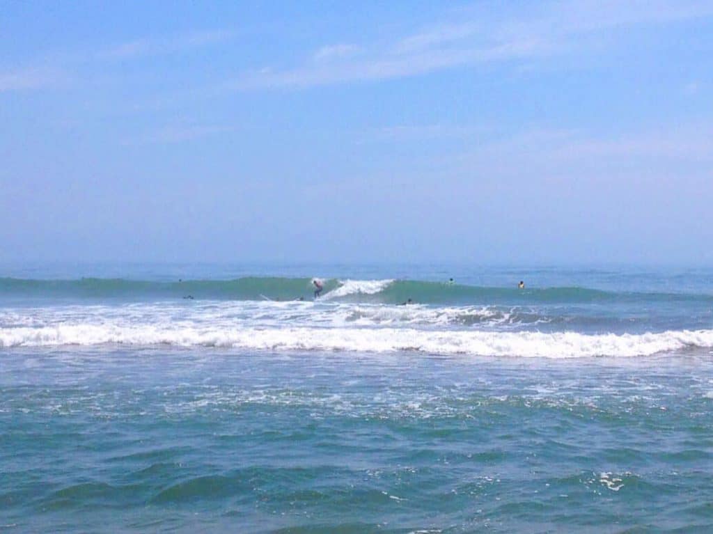S__10485774