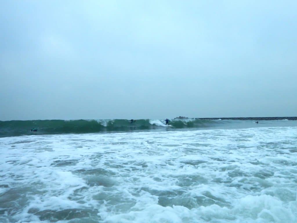 31C5CAEC-EB17-47FA-8F22-E1875EB1D948