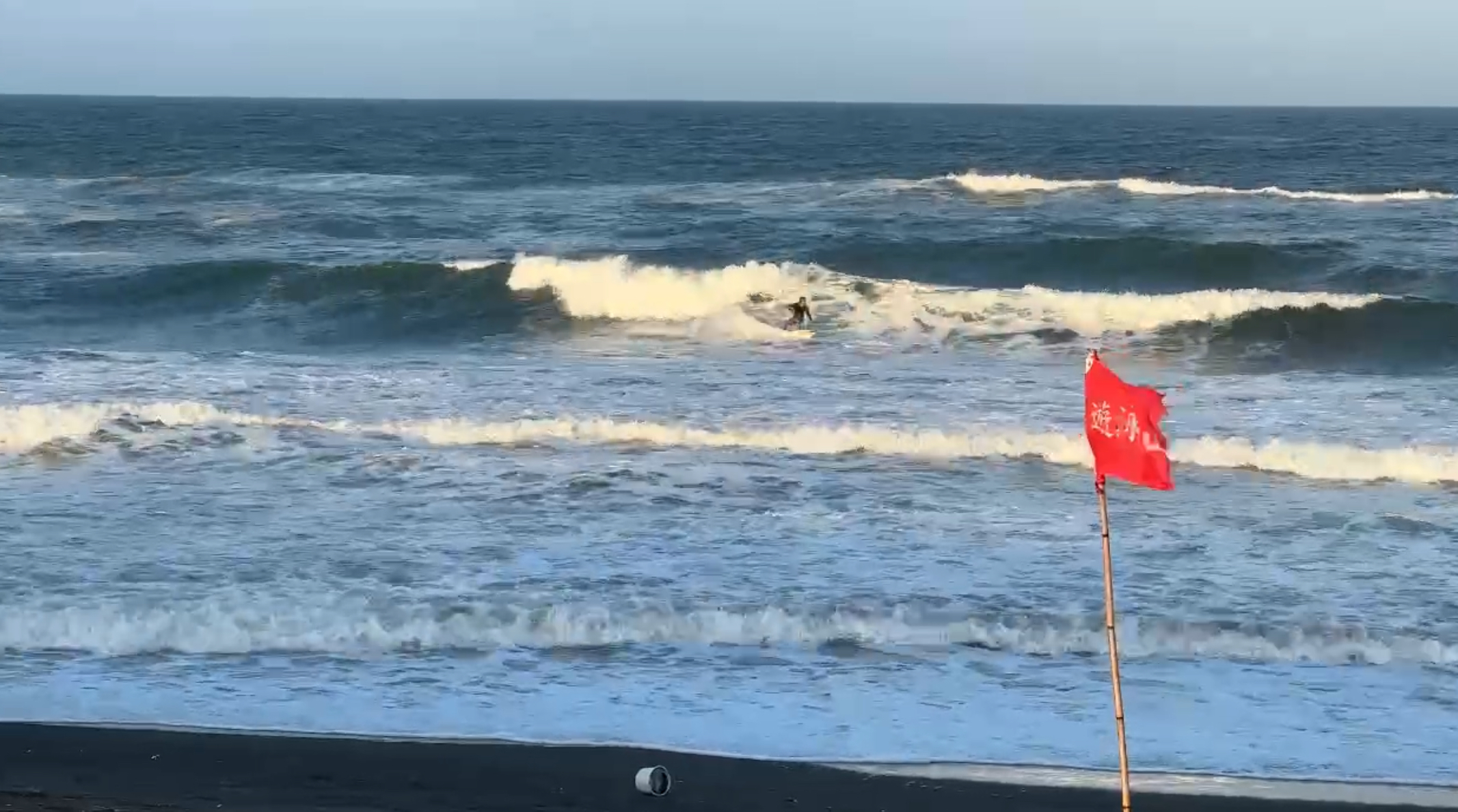 海月◇プロフ必読様　ご予約 12/29（月）】今年中に掃き出そう！ 海の生きものとデトックスナイト