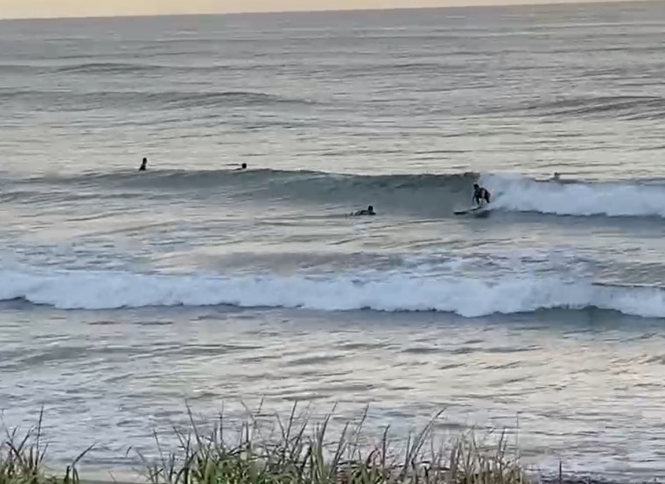 千葉某何ページ 千葉】超NATSUZOME 2025 @幕張海浜公園Gブロック特設会場｜HASHTAGBOX